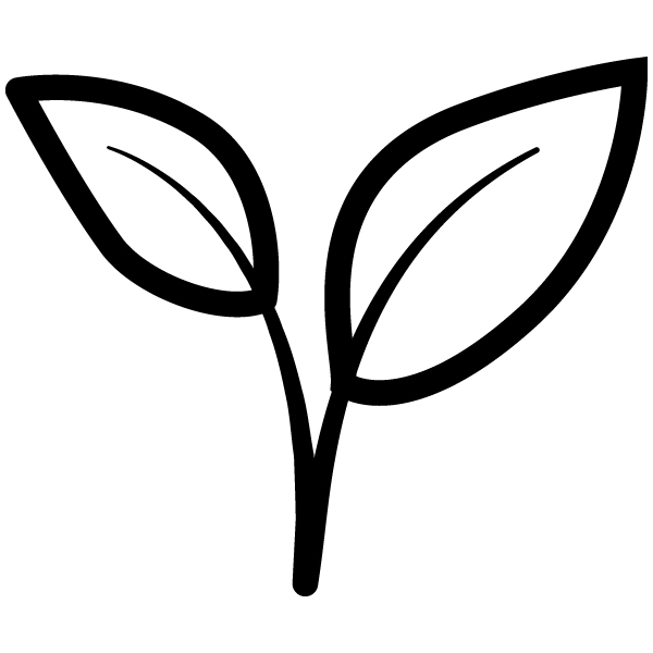 Vegán - Minden állati eredetű összetevőtől mentes!